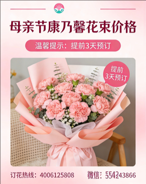 滁州南谯区花店母亲节康乃馨花束