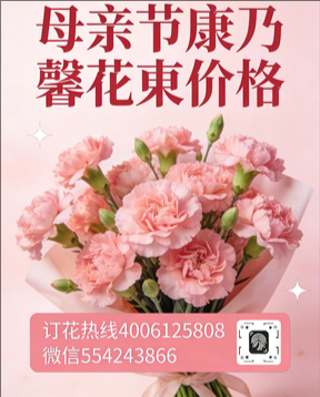 滁州南谯区花店母亲节康乃馨花束